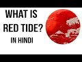 Algae and Harmful Blooms Concepts