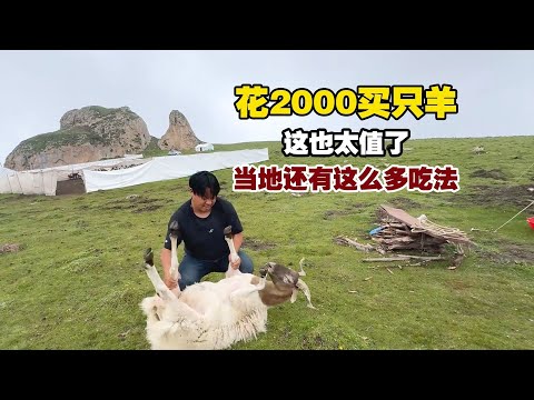 100多斤的草膘羊！当地人太会吃了，原来还有这么多吃法！【小白的奇幻旅行】