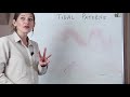 Understanding Tidal Patterns and Types