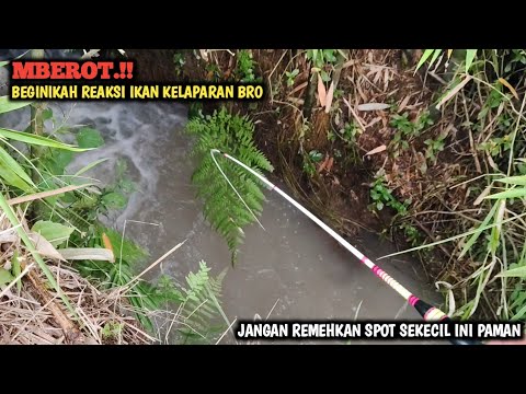 MBEROT TERUS.! MANCING DI SPOT SULIT GAK DI SANGKA BUAT SARANG IKAN SAMPAI MELIUK LIUK JORANNYA