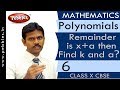 Polynomial Division Concepts and Techniques