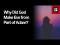 Understanding the Creation of Eve