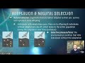 Evolution and Adaptation Concepts