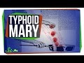 Understanding Typhoid Fever and Typhoid Mary