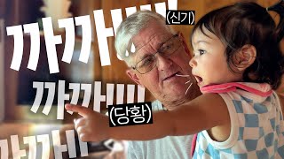 한국말로 첫 말이 터진 손녀, 그리고 미국 할아버지의 귀여운 반응 ㅋㅋㅋ