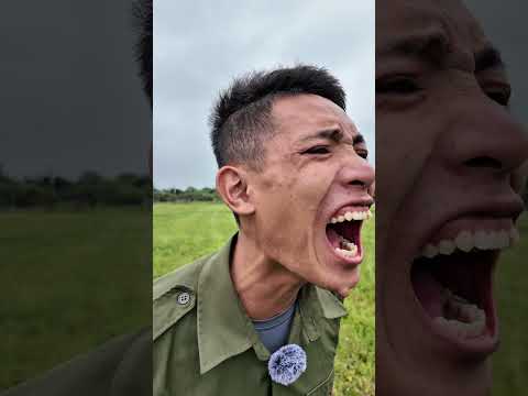 Bất Lực Gọi Con Bò Về Ăn Cơm