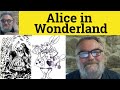 Alice's Adventures in Wonderland Questions