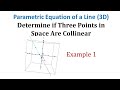 Understanding Vectors and Parametric Equations