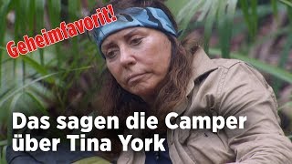 Dschungelcamp: Tina York ist der Geheimfavorit!