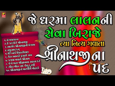 શ્રીનાથજી ના નિત્ય ગવાતા પદ I શું તમારે ઘર માં ઠાકોરજી બિરાજે છે I તો આ પદ અચૂક વગાડવા I DHOL- PAD