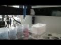 Everett Environmental Lab Responsibilities