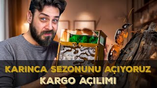 KARINCA SEZONUNU AÇIYORUZ - KARGO AÇILIMI