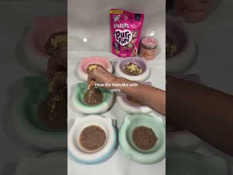 I love my babies🥹🥹  #cat #catfood