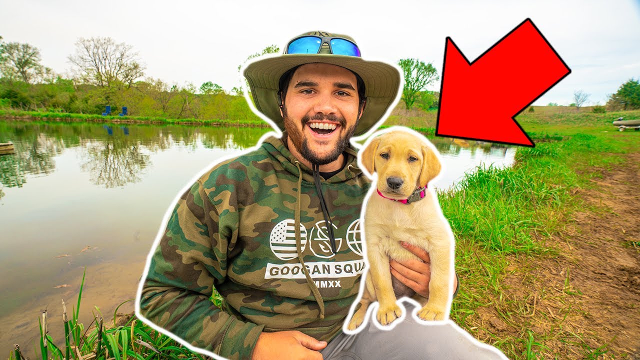 I Bought a NEW PUPPY for My BACKYARD FARM!