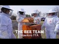 4G Honey Team Impact and Insights