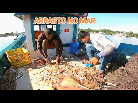 PASSAMOS NO ARRASTO NO MAR E VEJA SÓ O QUE ACABAMOS PEGANDO NESSA PESCARIA