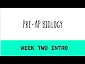 Weekly Student Tasks and Responsibilities