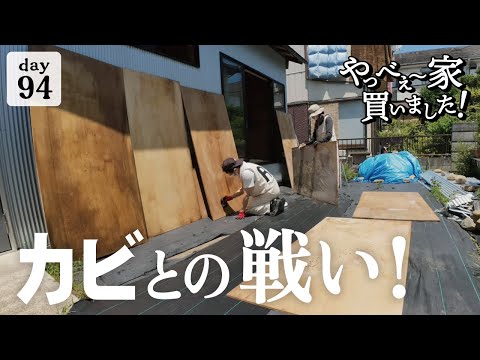 【作業94日目】負けられない戦いが、そこにある！カビ除去DIY、作業が進まない理由。