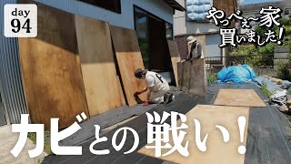 【作業94日目】負けられない戦いが、そこにある！カビ除去DIY、作業が進まない理由。