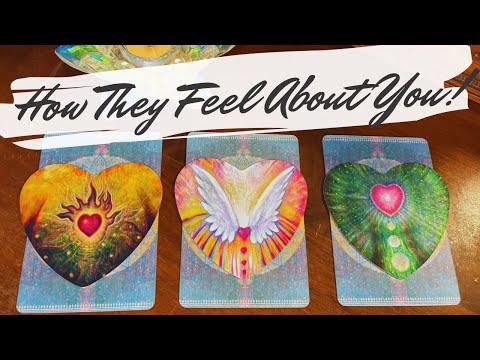 How do they feel? 💗 crush/love pick a card love reading 💘