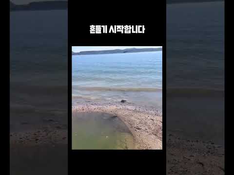 이게 어떻게 가능할까요?