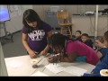Butterfly Life Cycle and Behavior