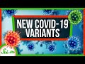 Understanding COVID-19 Variants and Their Implications