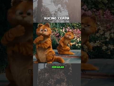 CERMIN PALSU KUCING OYEN