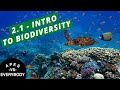 Biodiversity and Ecosystem Dynamics