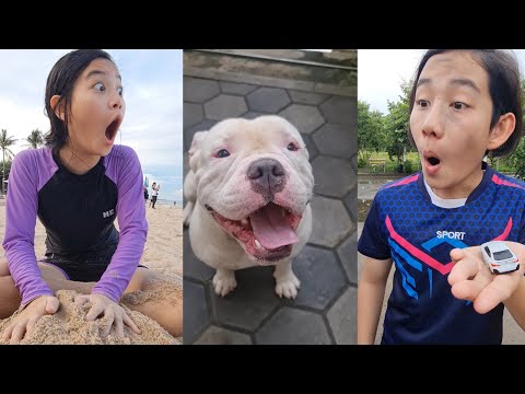 Funniest VDO‼️😆 HaHaHa🥰  | JJaiPan Shorts Compilation #shorts