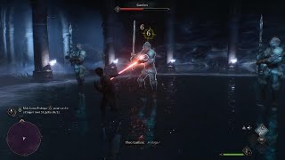 Hogwarts Legacy : Arrivée a Poudlard