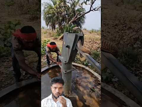 পানি নয়,বের হলো সাপ' টিউবওয়েল থেকে #story #facts #snake #viralshort
