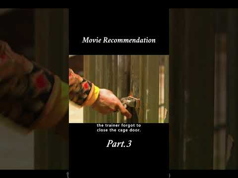 Two brothers with different fates Part 3 #film #shorts #movie