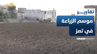 موجة جفاف تتسبب في تعثر موسم الزراعة في تعز | تقرير: إبراهيم سعيد