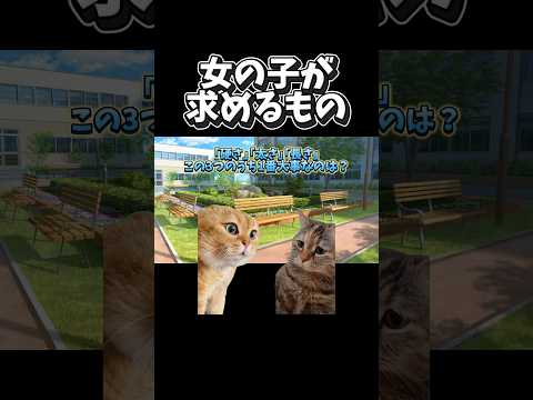 【猫ミーム】女の子が求めるもの