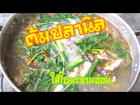 ต้มปลานิลใส่ใบมะขามอ่อนสูตรครัวง่ายๆChannel ครัวง่ายๆ Channel ต้มปลานิลใส่ใบมะขามอ่อนสูตรครัวง่ายๆChannel