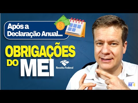 MEI: Obrigações após Declaração Anual e Imposto de Renda