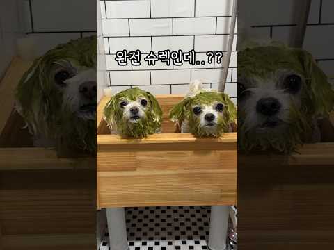 망해따..이거 안지워지는데??