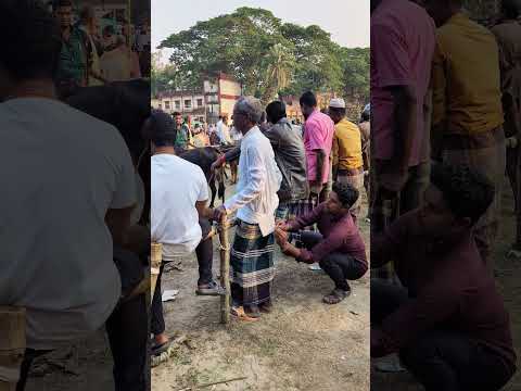 เฆเฆฟ เฆเฆฐเง #foryou #funny #content #comedy #viral #suorts #video