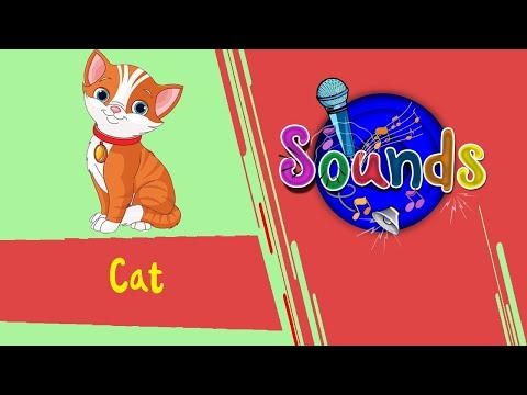 Sounds - Cat | Toyor Baby