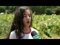 Iniciativas Sustentáveis na Educação