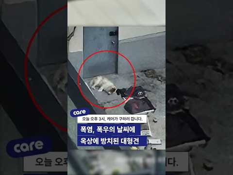 같이 살고 싶어요. 들어가고 싶어요. #분리사육