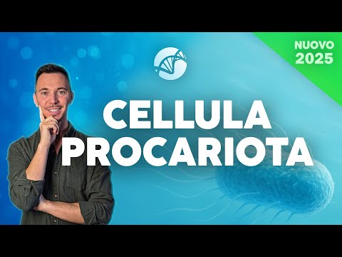 La Cellula Procariota | Corso di Biologia Cellulare 2025