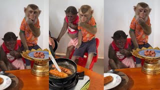 Delicious food for the two little monkeys