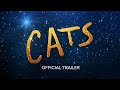Understanding Cat Mysteries and Themes