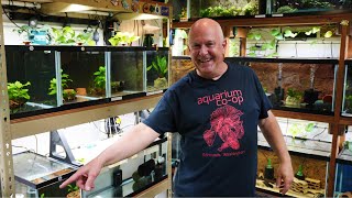 Deans Legendary Fish Room Tour 2025