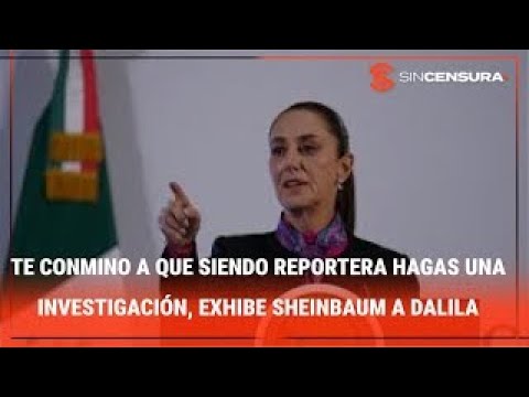 TE CONMINO A QUE SIENDO REPORTERA hagas una investigación, exhibe #Sheinbaum a #Dalila de #Proceso