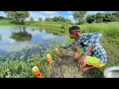 Amazing Catching Fish By Bottle Hook Trap In Pond | Fishing Video