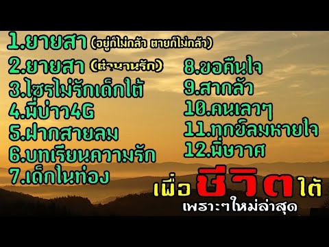 รวมเพลงใต้เพื่อชีวิตยายสา×ไซรไม่รักเด็กใต้×ทุกข์ลมหายใจ...