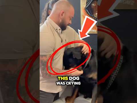 Dog was crying because of this man! 😱